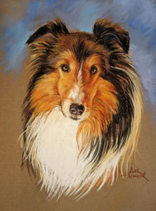 Pet Portrait by Ruth Monsell