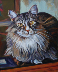 Main Coon Cat - Oil